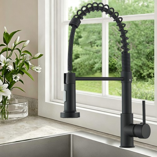 Kitchen sink mixer tap - kitchen, with