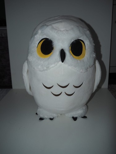Harry potter hedwig - harry,