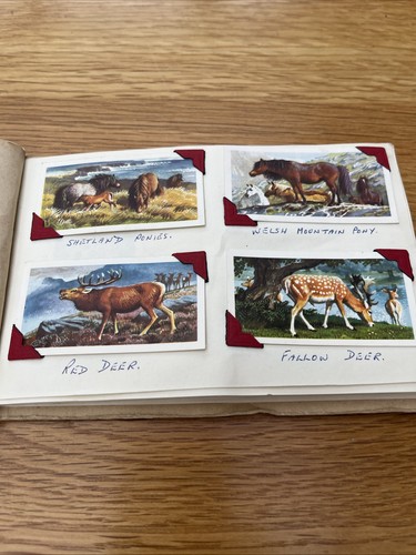 Complete set brooke - brooke, bond