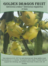 Golden Dragon Fruit
