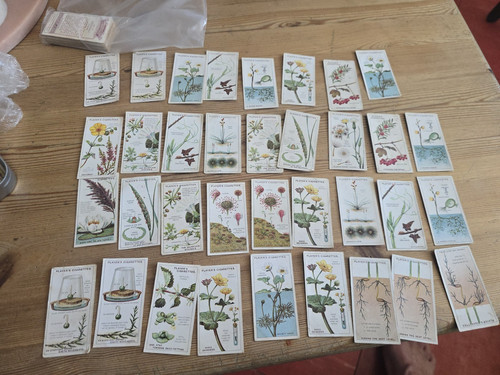 Player cigarette cards - 35,