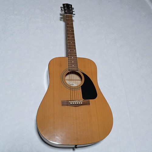 Fender 100 string - fender, fa-100