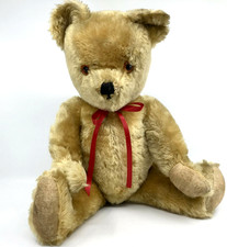 Pedigree British Teddy Bear