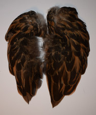 Complete set of Brown Mallard