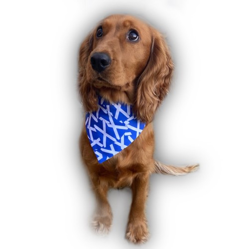 Scotland flag dog - flag, bandana