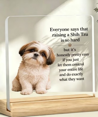 Fun shih tzu acrylic comedic - fun,