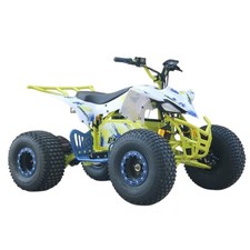KIDS QUAD BIKE ELECTRIC 2000W