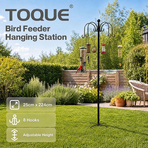 Toque bird feeding station - toque,