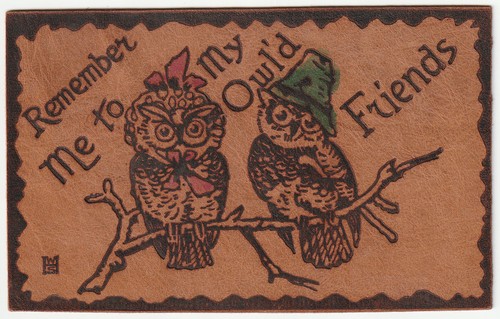 1906 leather owl postcard - owl,