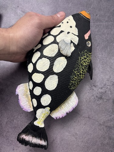Taxidermy clown triggerfish - taxidermy,