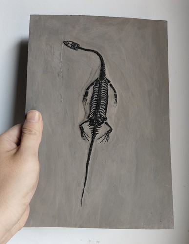 Keichousaurus skeleton fossil - skeleton,