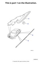 Jaguar genuine leaping - genuine,