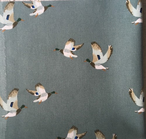 Sophie allport mallard - sophie, ducks