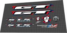 1998 GT STS 1000 DECAL SET