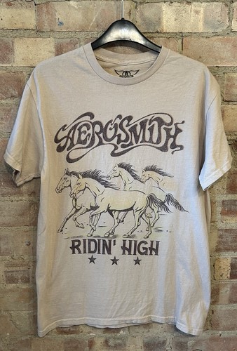 Aerosmith ridin high - ridin’,