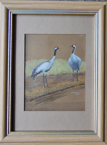 Pair norfolk cranes - a, j