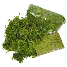 Fresh Sphagnum Moss - Live