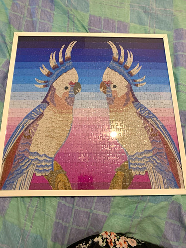 Cockatoo birds jigsaw handmade - cockatoo,