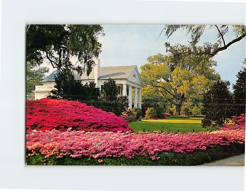 Postcard old colonial - postcard,