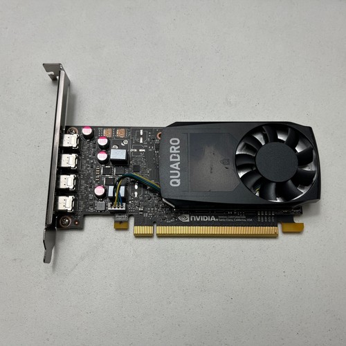 Nvidia quadro p1000 - quadro,