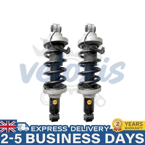 Pair rear shock absorber - shock,