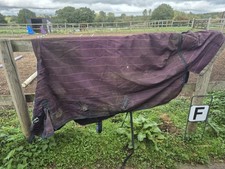 Mark Todd Turnout 6'6