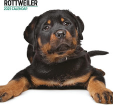 Rottweiler 2025 Modern