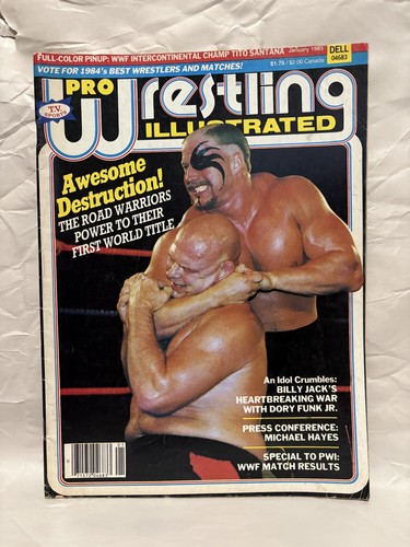 Pro wrestling illustrated - wrestling,