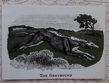 COURSING GREYHOUND DOG PRINT