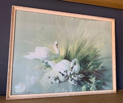 Vernon ward swan - ward, print