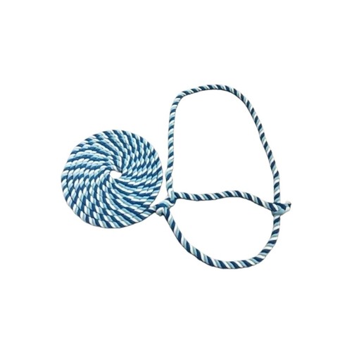 Blue white cattle - blue,
