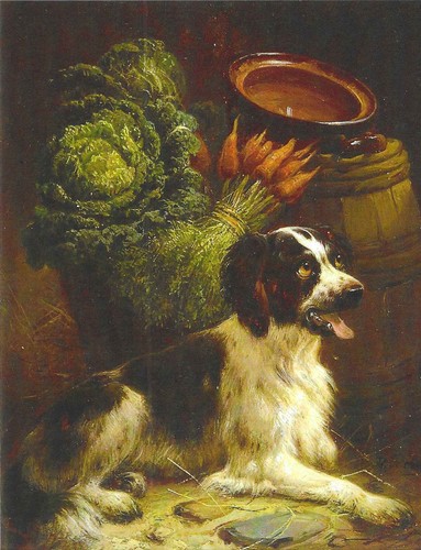 New dogs postcard - new,