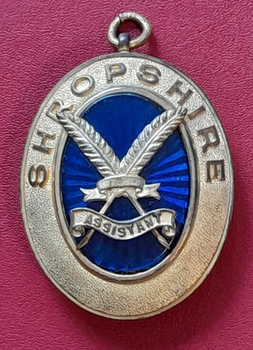 Masonic jewel shropshire past - masonic,