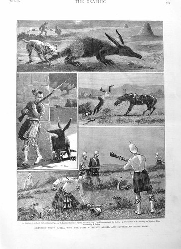 Original old antique print - original,