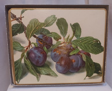 Fruit design Place Mats