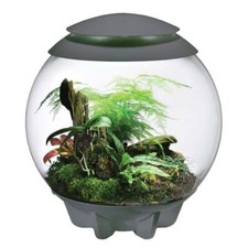 BiOrb Air Terrarium - Grey