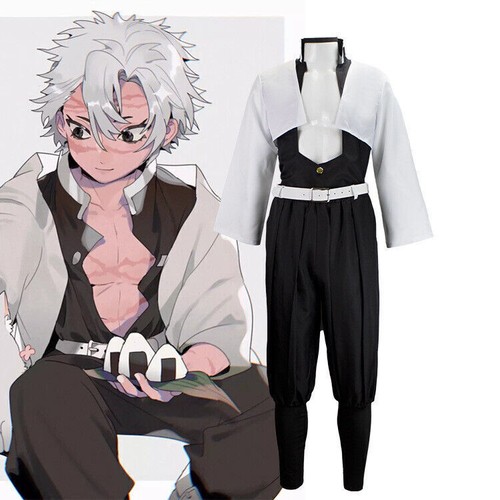 Demon slayer shinazugawa - slayer,
