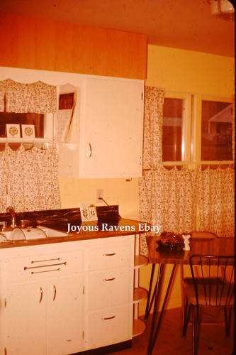 35mm found photo slide 1950s - 35mm,