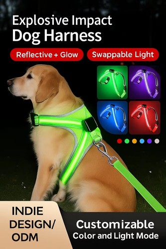 Pet led light - pet,