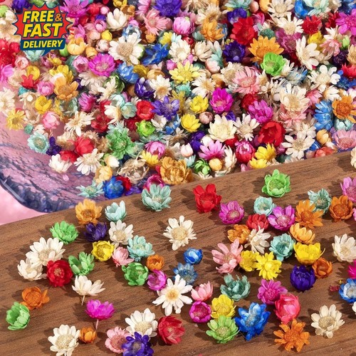 300pcs small dried flowers - 300pcs,