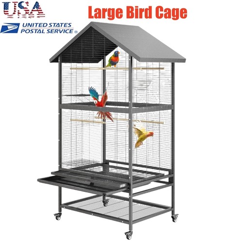 Large bird cage parrot - parrot, extra