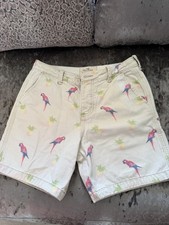 Hollister Men’s Shorts