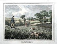 PARTRIDGE SHOOTING BY SAMUEL