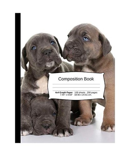 Cane corso composition - corso,
