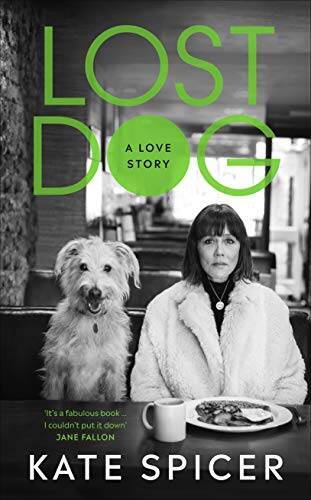 Lost dog love story - lost, dog: