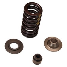 Spring Set Piaggio for Exhaust