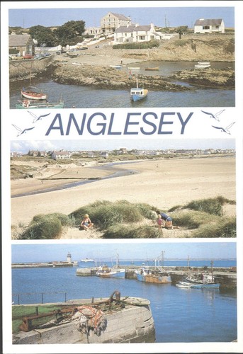 Vintage anglesey postcard - vintage,
