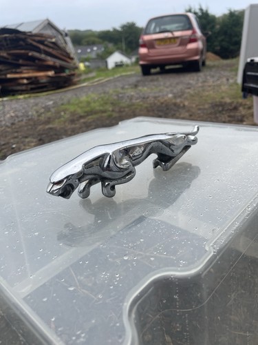For type standing jaguar - for, x-type/standing