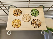 Treat Ledge & Hooks (5 Holes)