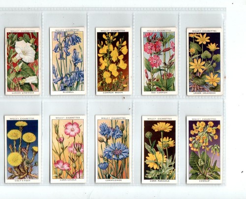 Wills wild flowers - wills:, (adhesive)